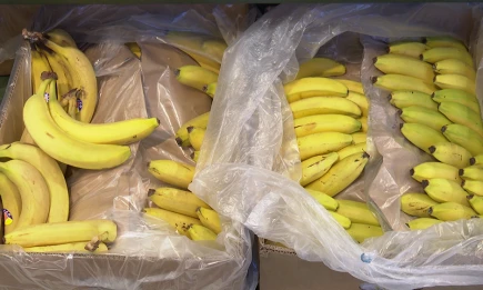 Врач назвал 3 продукта, которые повышают качество сна - НТР 24