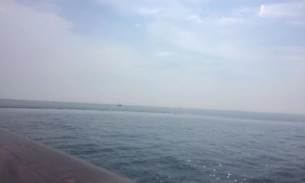 Вильфанд рассказал, тёплое ли море в Сочи и Геленджике - НТР 24