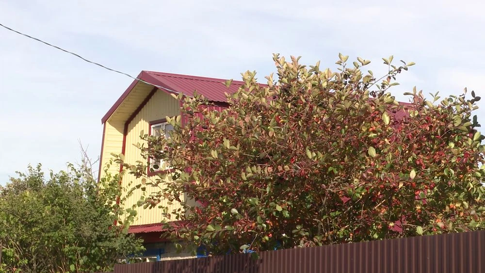 Дачный домик