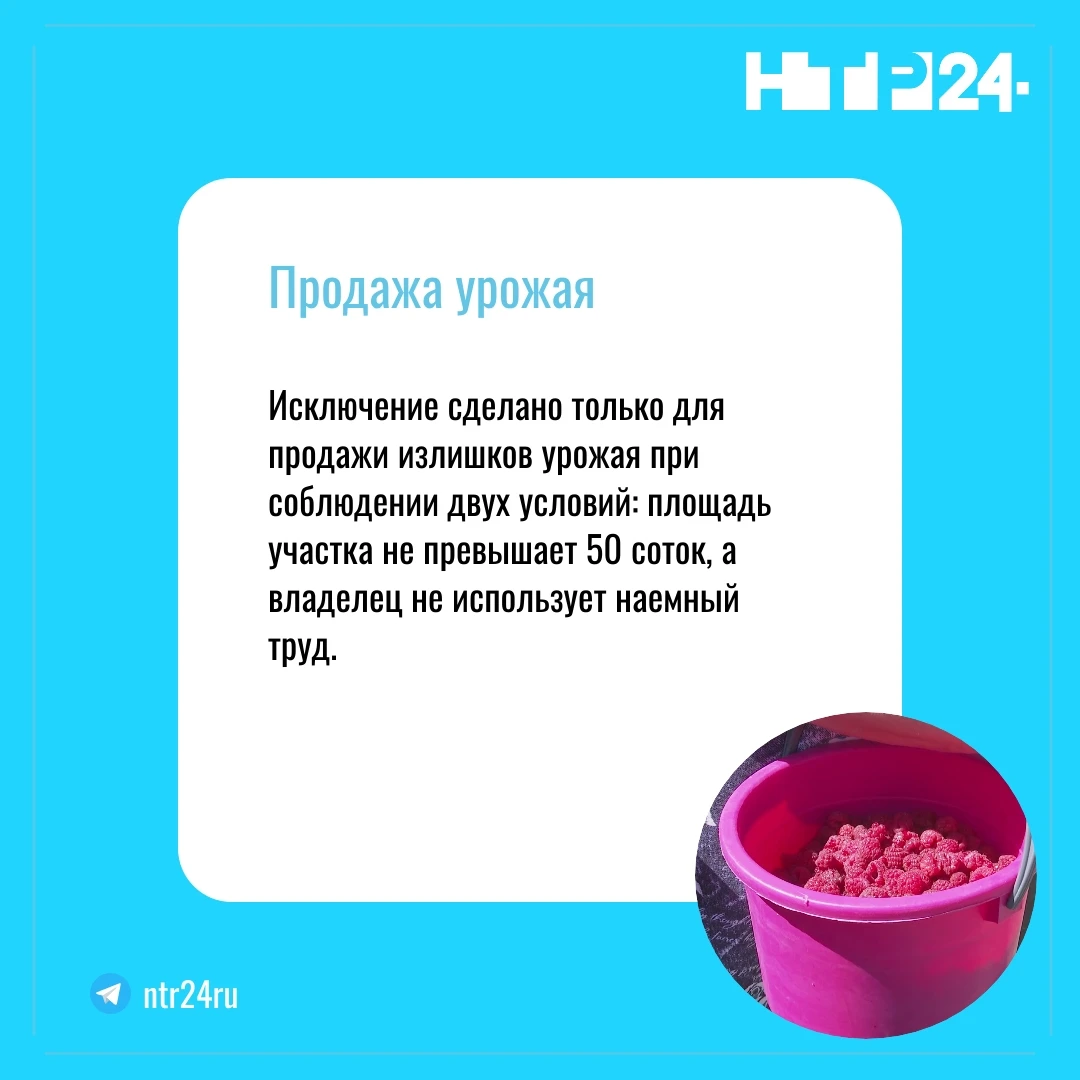 Исключение сделано только для продажи излишков урожая при соблюдении двух условий: площадь участка не превышает пятьдесят соток, а владелец не использует наемный труд
