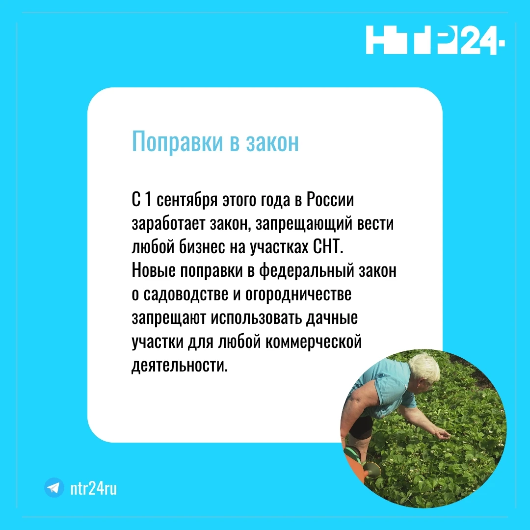 С первого сентября этого года в России заработает закон, запрещающий вести любой бизнес на участках эсэнтэ.  Новые поправки в федеральный закон о садоводстве и огородничестве запрещают использовать дачные участки для любой коммерческой деятельности