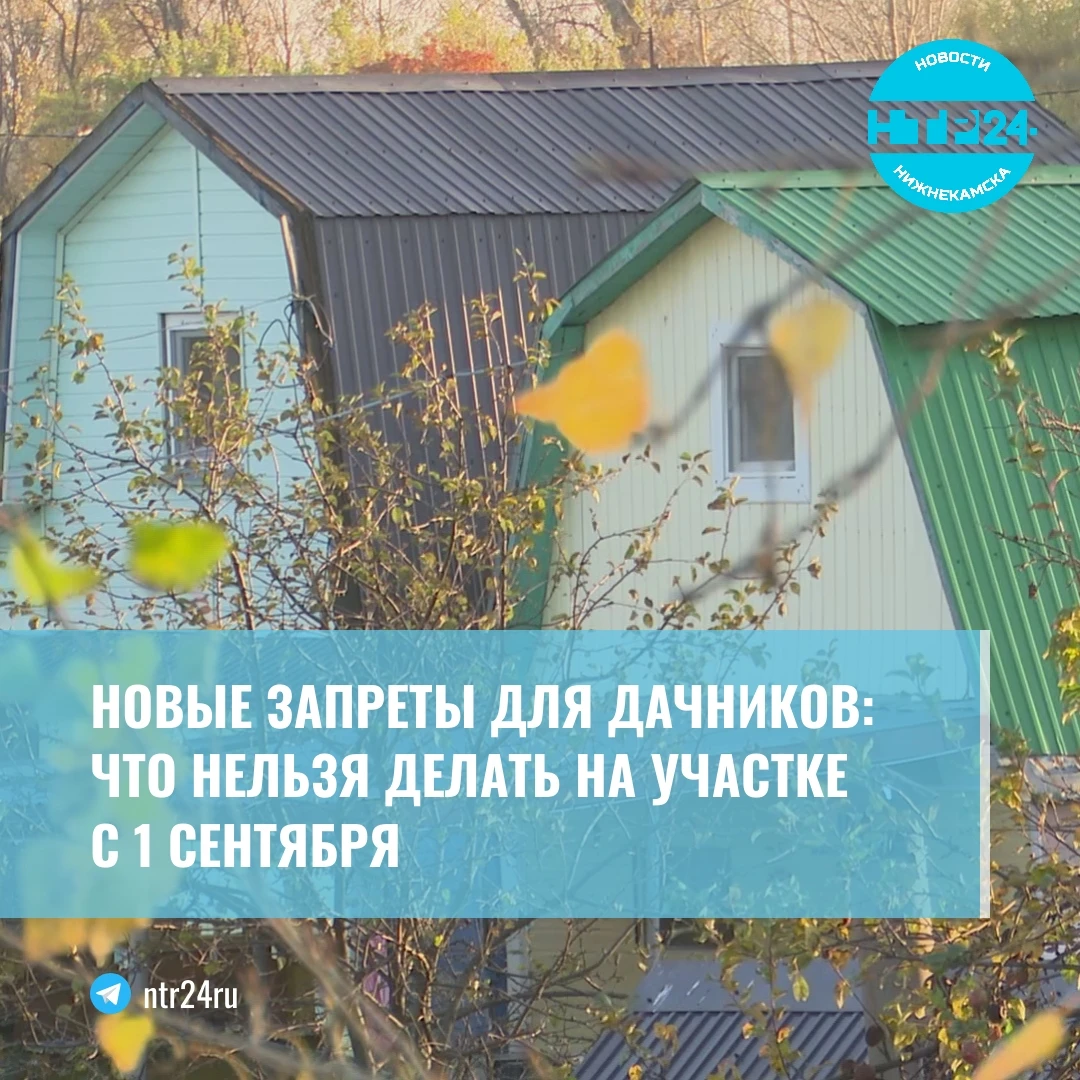Новые запреты для дачников: что нельзя делать на участке  с первого сентября