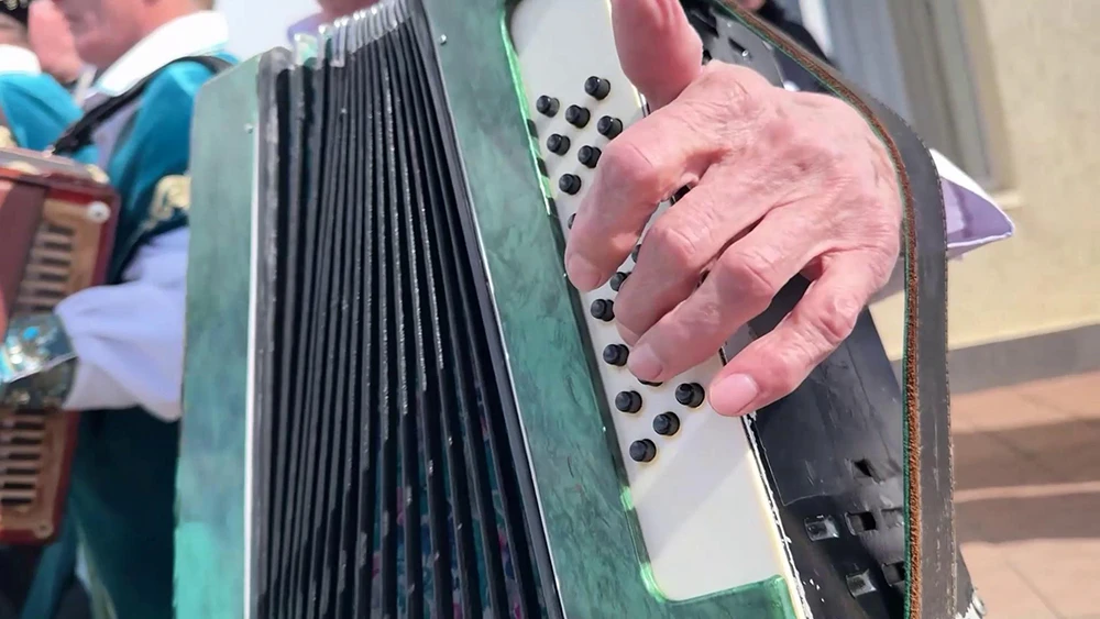 пенсионер играет на гармони