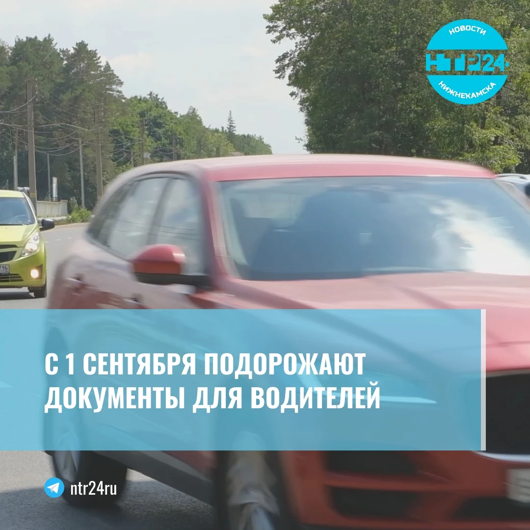 С первого сентября подорожают документы для водителей