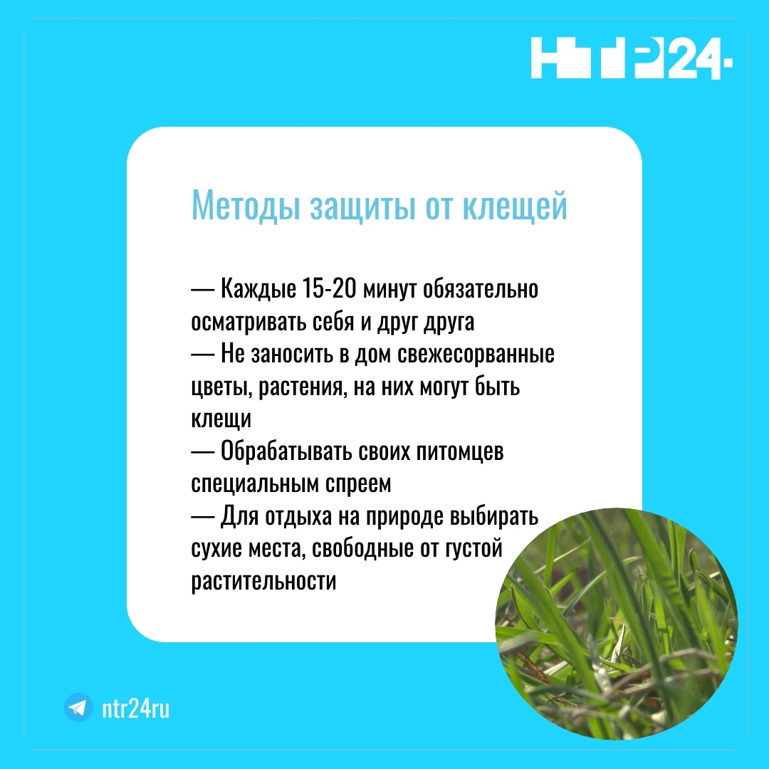 Методы защиты от клещей. Каждые 15-20 минут обязательно осматривать себя и друг друга. Не заносить в дом свежесорванные цветы, растения, на них могут быть клещи. Обрабатывать своих питомцев специальным спреем. Для отдыха на природе выбирать сухие места, свободные от густой растительности