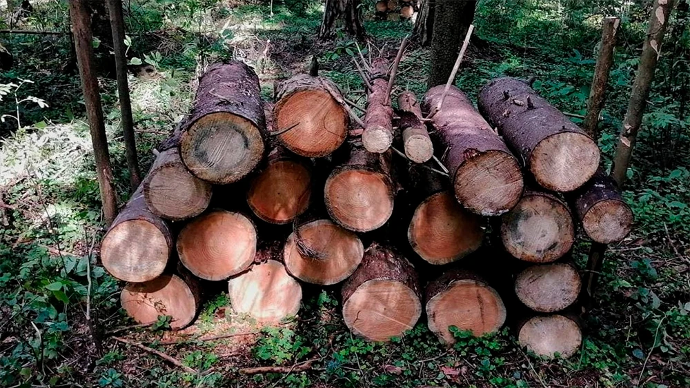 сложенные дрова