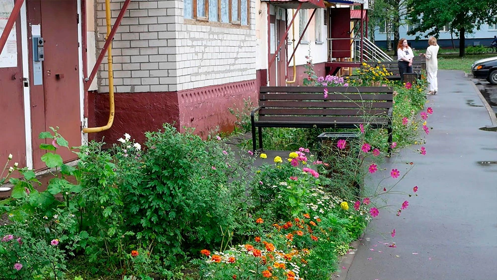 Цветы на газоне во дворе в Нижнекамске