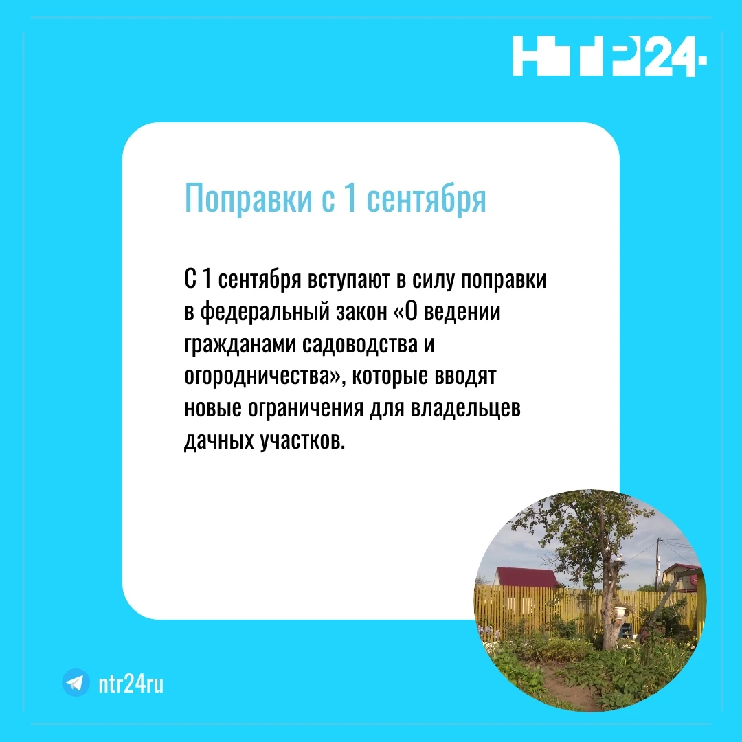 С первого сентября вступают в силу поправки в федеральный закон «О ведении гражданами садоводства и огородничества», которые вводят новые ограничения для владельцев дачных участков