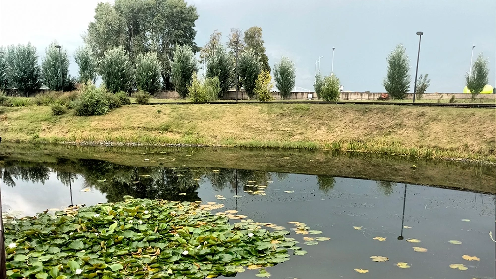 Пруд в нижнекамском экопарке в поселке Красный Ключ