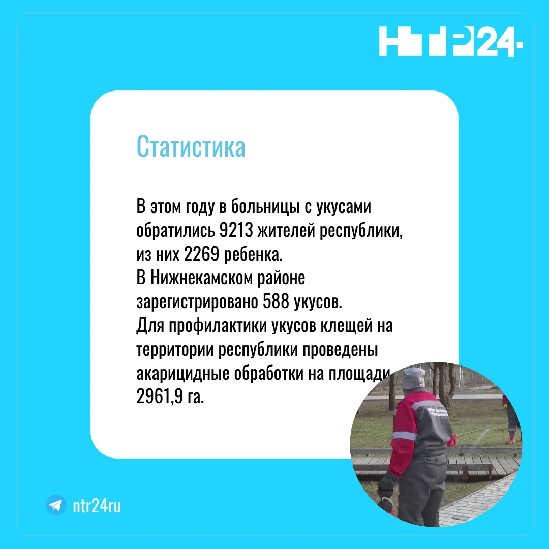 В этом году в больницы с укусами обратились 9 213 жителей республики, из них 2 269 - дети.  В Нижнекамском районе зарегистрировано 588 укусов.  Для профилактики укусов клещей на территории республики проведены акарицидные обработки на площади почти три тысячи гектаров