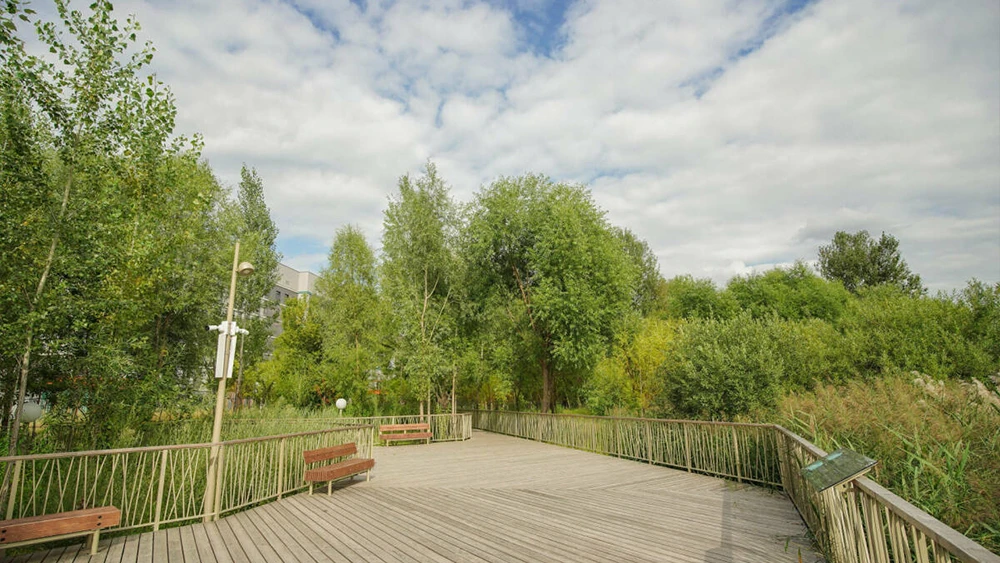 Проект благоустройства парка