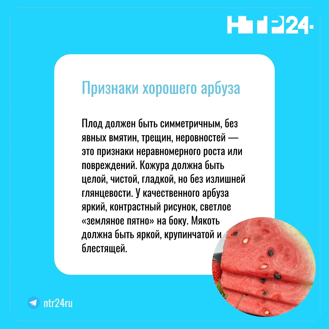 Признаки хорошего арбуза: плод должен быть симметричным, без явных вмятин, трещин, неровностей — это признаки неравномерного роста или повреждений. Кожура должна быть целой, чистой, гладкой, но без излишней глянцевости. У качественного арбуза яркий, контрастный рисунок, светлое «земляное пятно» на боку. Мякоть должна быть яркой, крупинчатой и блестящей
