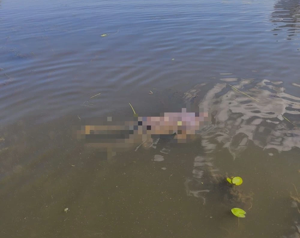 тело утонувшего мужчины в реке