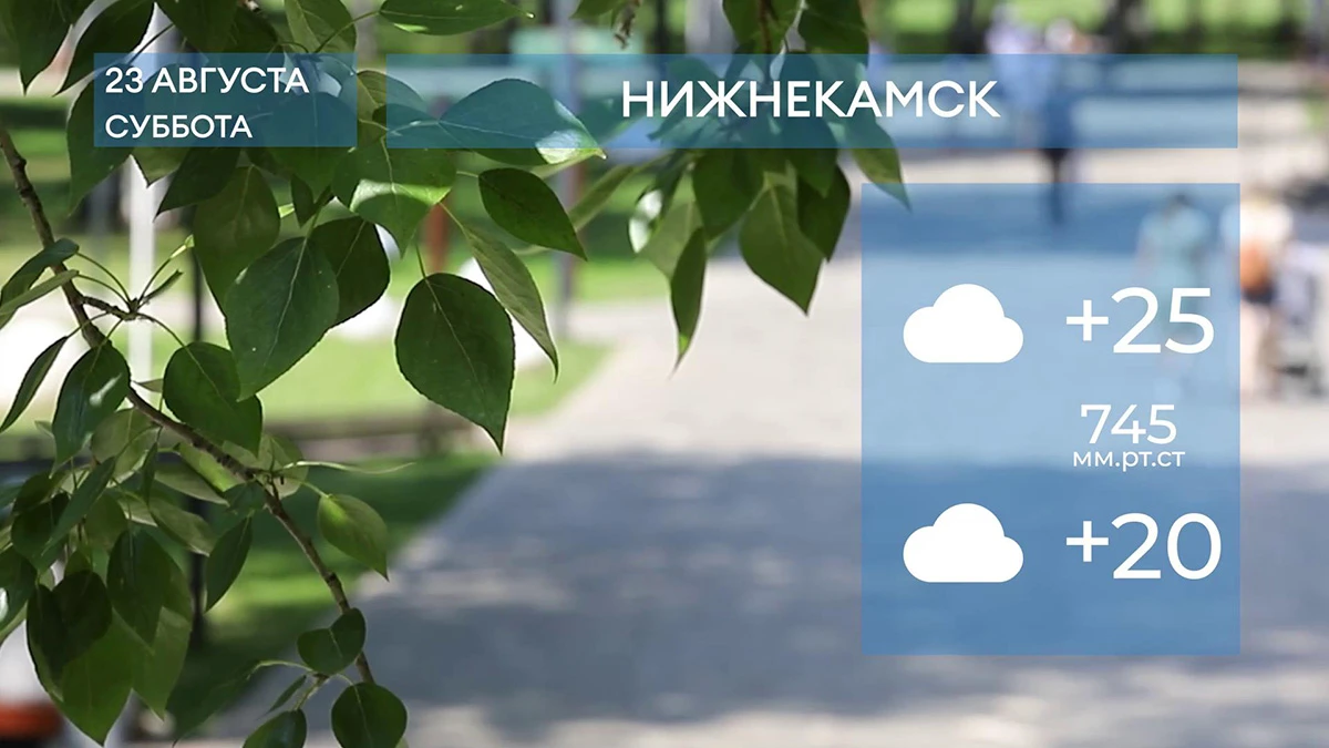 Прогноз погоды в Нижнекамске на 23-е августа 2025 года