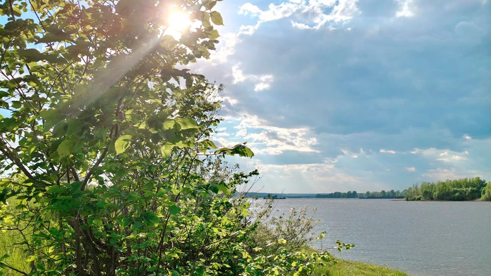 Дерево и облака, лето, река