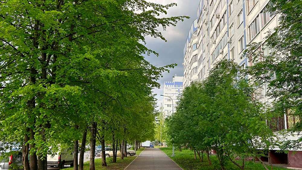 Тротуар среди деревьев в Нижнекамске