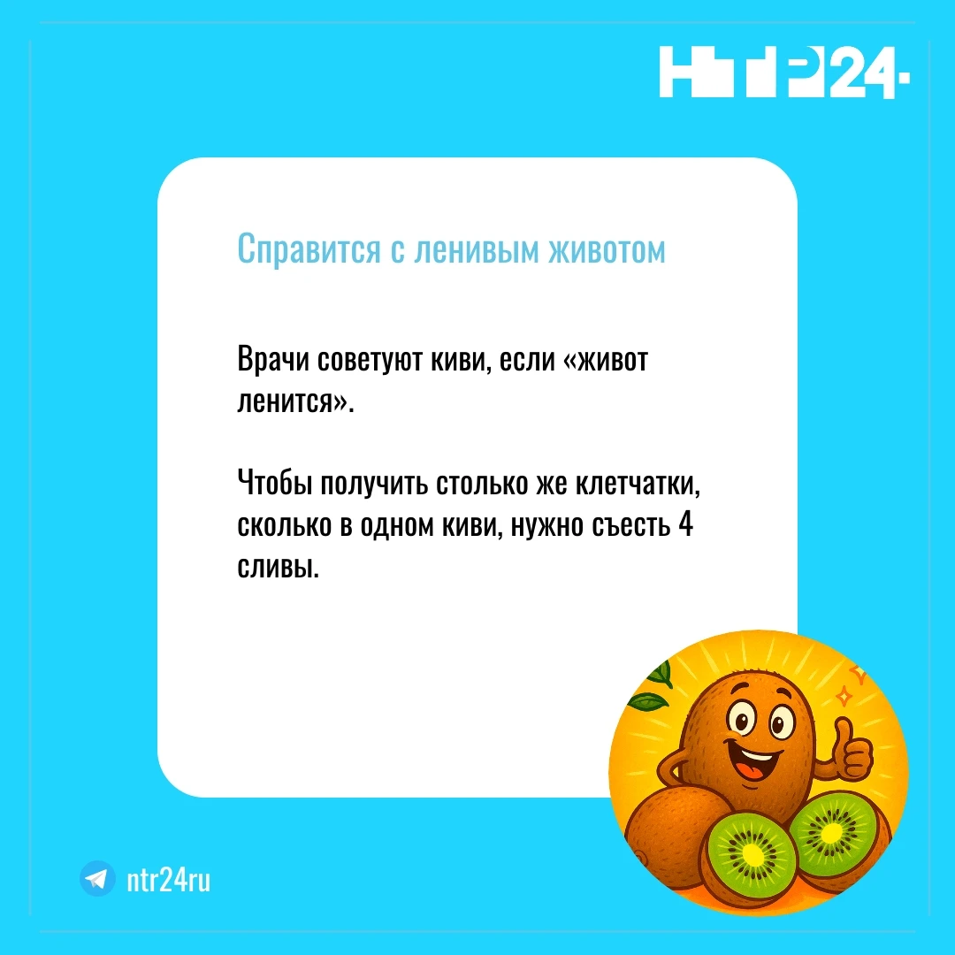 Врачи советуют киви, если живот ленится. Чтобы получить столько же клетчатки, сколько в одном киви, нужно съесть 4 сливы