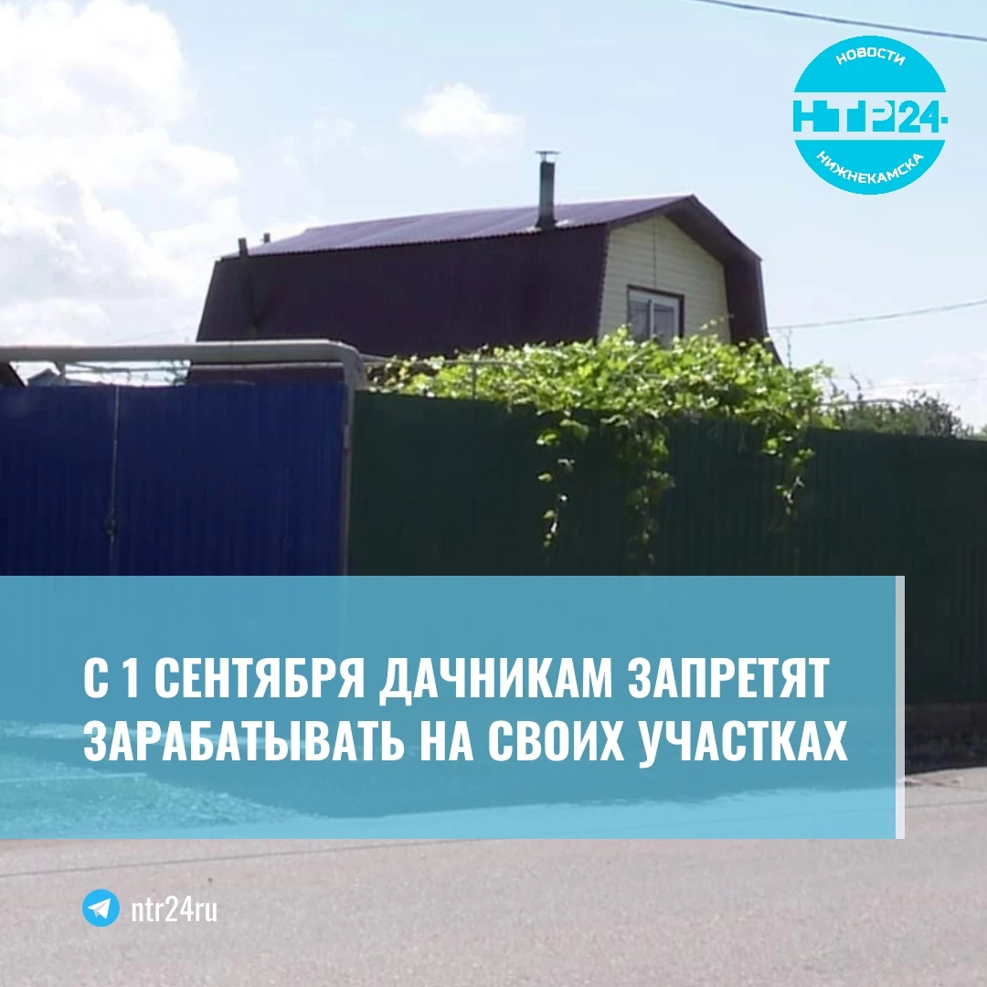C первого сентября дачникам запретят зарабатывать на своих участках