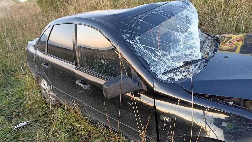 Пострадавшая в аварии Лада Гранта на дороге Шереметьевка — Кармалы в Нижнекамском районе
