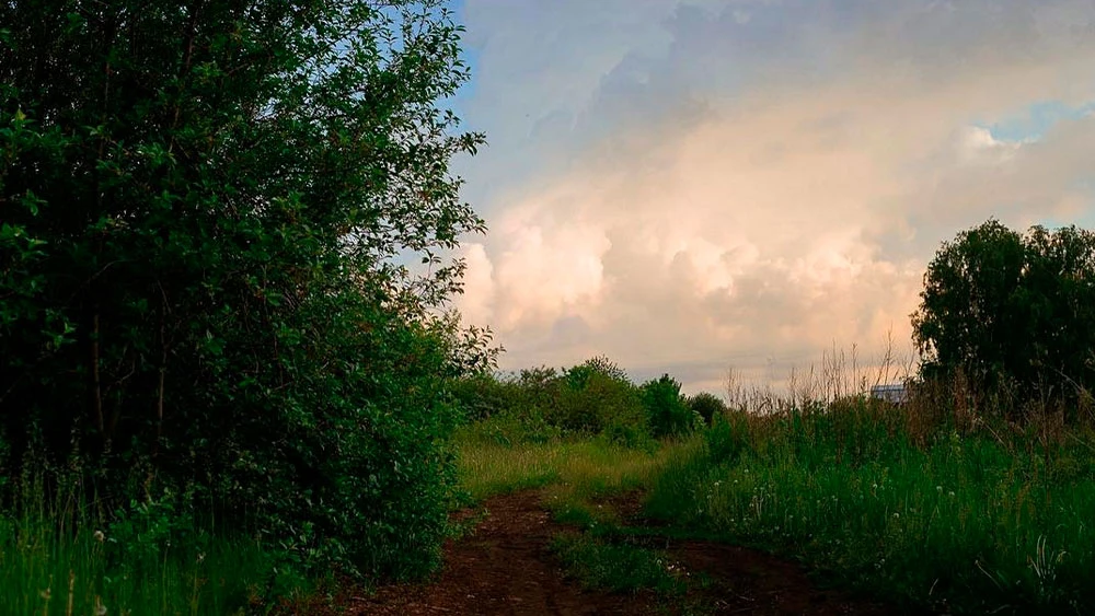 Облака над лесом