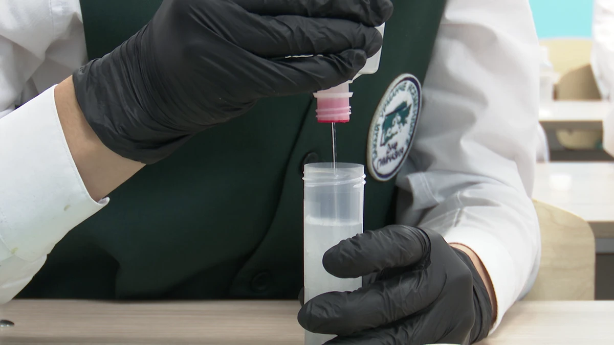 ученик на уроке химии в школе Нижнекамска