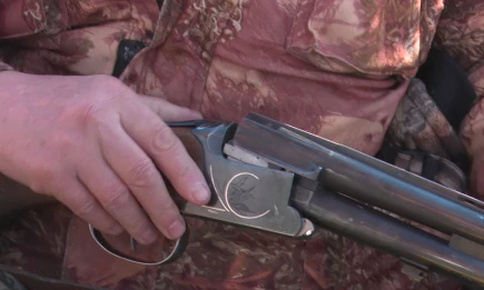 В Татарстане начинается выдача разрешений на охоту на пушных животных - НТР 24