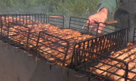 Ученый КФУ раскрыл перспективы альтернатив мясу и молоку - НТР 24