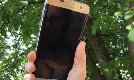 Минцифры обеспечит доступ к популярным сервисам при блокировке интернета - НТР 24