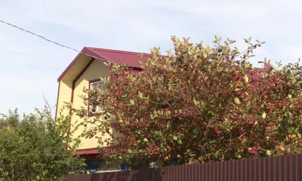 Эксперт рассказал, как снизить на 40% плату за свет и воду на даче - НТР 24