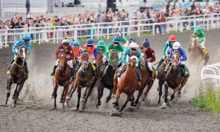 Казань готовится принять самые престижные скачки России и международный турнир по конкуру - НТР 24