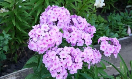 Лето продолжается: в Татарстан с 1 сентября вернётся жара до +27 градусов - НТР 24