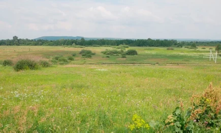 Испытательный полигон для беспилотников появится в ОЭЗ «Алабуга» - НТР 24