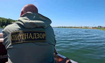 В России ужесточают правила получения охотничьего билета - НТР 24