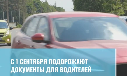 С 1 сентября подорожают документы для водителей - НТР 24