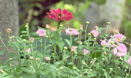 Лето возвращается: синоптики обещают потепление до +27 градусов в Татарстане - НТР 24