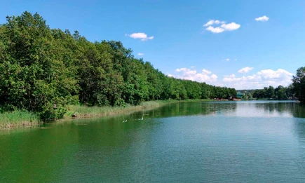 Июль 2025 года стал третьим самым жарким в мировой истории - НТР 24