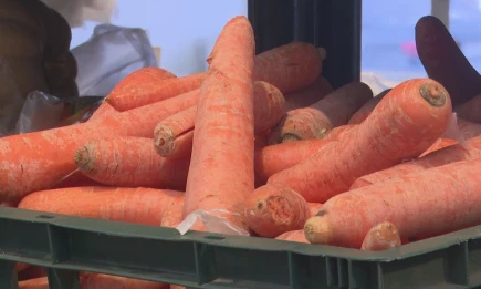 В магазинах Татарстана падают цены на овощи - НТР 24