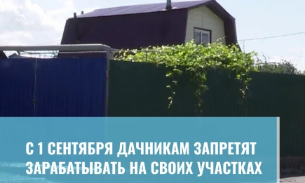 C 1 сентября дачникам запретят зарабатывать на своих участках - НТР 24