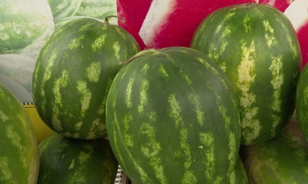 Врач рассказала, почему арбуз полезен для сердца - НТР 24