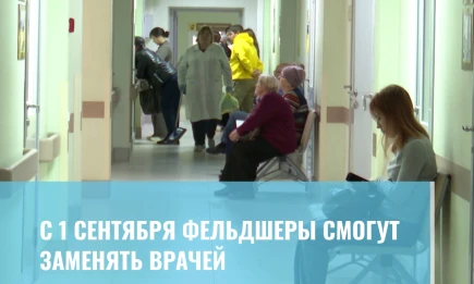 С 1 сентября фельдшеры смогут заменять врачей - НТР 24