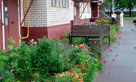 Западный ветер прогонит дожди из Татарстана - НТР 24