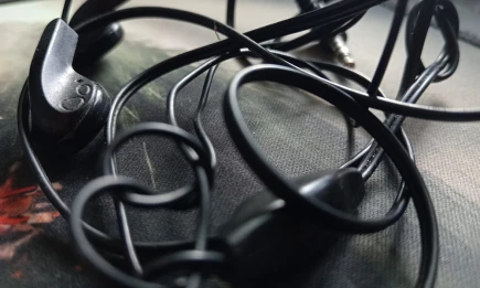 В России предложили штрафовать пешеходов за использование наушников и телефонов на дороге - НТР 24