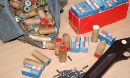 В Татарстане открылся сезон охоты на барсука с серьезными ограничениями - НТР 24