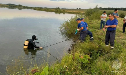 В Татарстане в пруду около деревни Каркаусь утонул мужчина - НТР 24