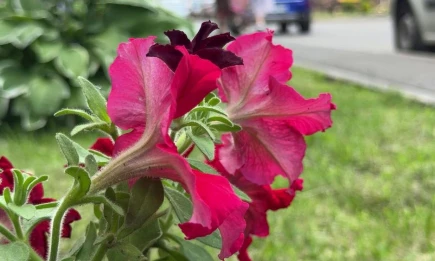 Последний привет лета: Татарстан накроет жара до +29 градусов - НТР 24