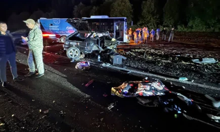 В массовом ДТП в Татарстане погибли две женщины, шестеро пострадали - НТР 24