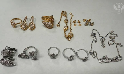 Турист привёз в Россию подарки для друзей и попал по уголовное дело - НТР 24