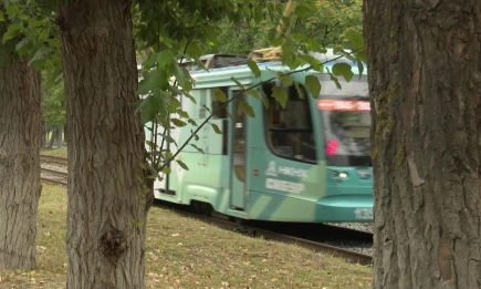 В день Стахеевского фестиваля в Нижнекамске пустят дополнительный транспорт - НТР 24