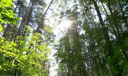 Из Татарстана ушла летняя жара, ей на смену пришли дожди и туманы - НТР 24