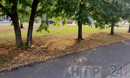 Осень подступает: в Татарстане похолодает до +11 - НТР 24